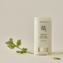 Beauty of JoseonBeauty of Joseon - Matte Sun Stick 18g – Korean Sunscreen Mugwort + Camellia SPF Protection