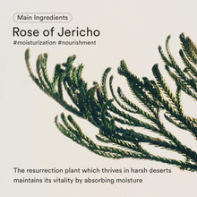 ABIBAbib - Jericho Rose Crème Nutrition Tube (75ml) – 100% Authentic Korean skincare in UAE